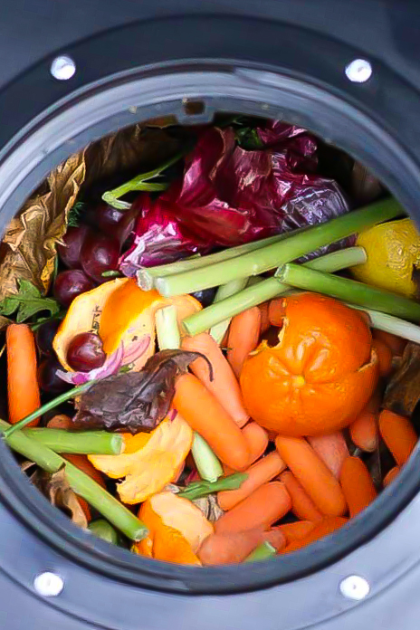 Why You Can – and Should! ~ Compost
